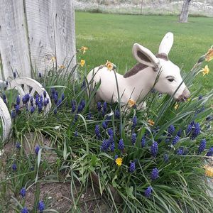 Meet your Posher, Gail